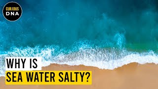 Why there is salt in the ocean [upl. by Oiluig]