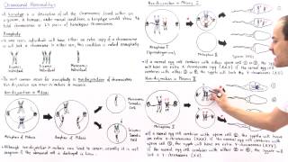 Aneuploidy and Nondisjunction Part II [upl. by Ayhdnas991]