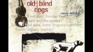 Old Blind Dogs  The Wee Wee German Lairdie [upl. by Sessilu]