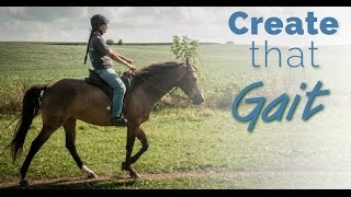 Training the Gaited Horse that Trots and Paces  before and after [upl. by Weld695]