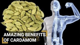 Health Benefits of Elaichi Cardamom [upl. by Zacharia]