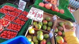 STOCKTONONTEES  MARKET DAY STOCKTON  STOCKTON FLYER  FILIPINA BRITISH LIFE UK [upl. by Weinman608]