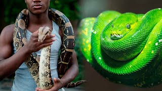 10 SNAKES You Can Have As A PET 🐍 [upl. by Arekat]