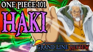 Haki Explained  One Piece 101 [upl. by Ahsea]