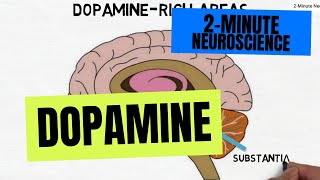 2Minute Neuroscience Dopamine [upl. by Lorens45]