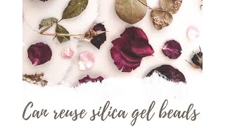 Can you reuse SILICA gel beads after drying Flowers [upl. by Chrisoula]