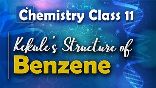 Kekule’s Structure of Benzene  Aromatic Compounds  Chemistry Class 11 [upl. by Briano]