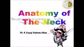 Anatomy  NECK  Complete  Dr Yusuf [upl. by Moses]