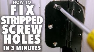 Fix Stripped Screw Holes  3 MINUTE FIX [upl. by Eladnor594]