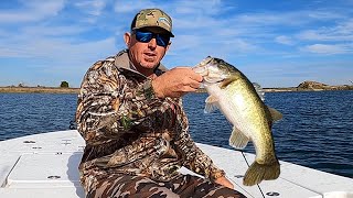 Largemouth Bass  Catch Clean Cook [upl. by Wilt]