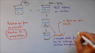 Réactions de précipitation 1  Solubilité [upl. by Carbo]