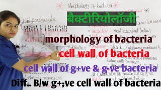 Morphology of Bacteria in hindi  Bacterial Structure  Bacteriology  By Manisha Maam [upl. by Gothard]