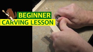 Beginner Woodcarving  Basic Cuts [upl. by Eyllib456]