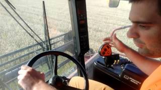 Maksym harvesting winter wheat with combine Case IH 2388 [upl. by Alakcim]