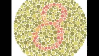 Test for Colour Blindness [upl. by Bez]