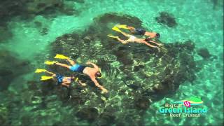 Snorkeling the Great Barrier Reef [upl. by Orvas113]