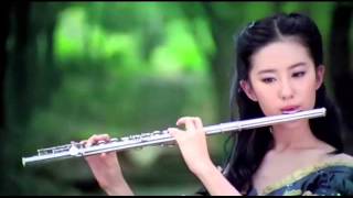 Johann Pachelbel  Canon in D  Flute [upl. by Lered402]