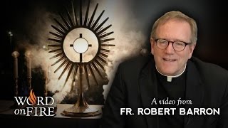 Bishop Barron comments on Eucharistic Adoration [upl. by Dot481]