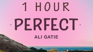 1 HOUR 🕐  Ali Gatie  Perfect Lyrics [upl. by Akirehc]