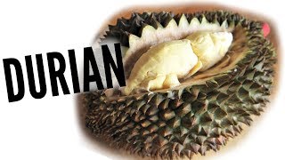 DURIAN Taste Test  FRUITY FRUITS [upl. by Pallua]