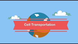 Cell TransportationPassive and Active Transport [upl. by Melar]