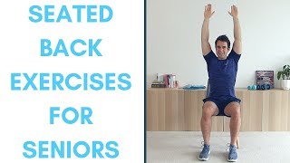 Thoracic Spine Pain  Upper Back Exercises From A Physical Therapist [upl. by Bazluke]