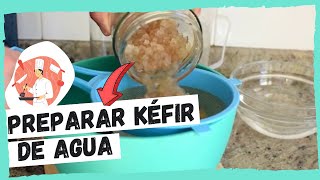 Cómo preparar KÉFIR DE AGUA Tibicos  FÁCIL y CASERO [upl. by Neelahtak]