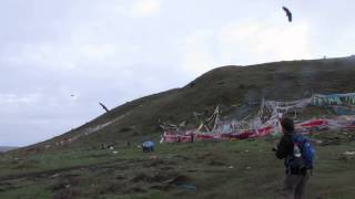 sky burial ceremony [upl. by Peatroy]