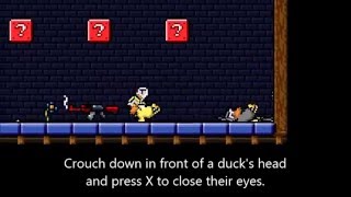 Duck Game Mostly Useless Secrets [upl. by Dniren]