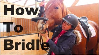 How To Bridle a Horse [upl. by Nonnac]