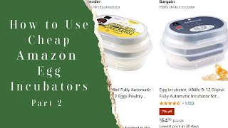 Cheap Amazon 12 Egg Incubator How To Use [upl. by Essilevi842]