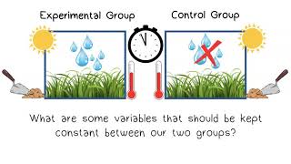 The Scientific Method Part 3 Setting up an Experiment [upl. by Leicester159]