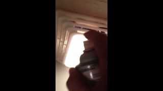 Roaches in bathroom vent [upl. by Chester]