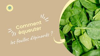 Comment équeuter des feuilles dépinards [upl. by Verneuil]