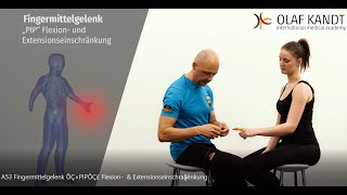 Fingermittelgelenk PIP Flexion amp Extensionseinschränkung [upl. by Oberstone]