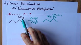 Hofmann Elimination Amine to Alkene aka Exhaustive Methylation [upl. by Pruter]