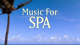 8 HOURS SPA MUSIC PLAYLIST  Healing Arts Massage amp Meditation  with Earth Resonance Frequency [upl. by Sillad]