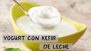 Como preparar Yogurt con Kefir de Leche [upl. by Enajaras]