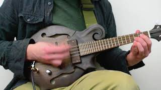 Electric Mandolin Demo  DarkwoodUSA  F Style [upl. by Iznik]