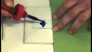 Preparing a microscope slide [upl. by Rusel28]