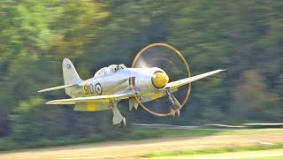 Oldtimer Fliegertreffen Hahnweide Warbirds approaching and landing on grass [upl. by Silvers]