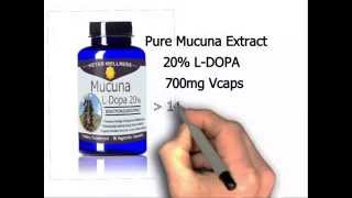 Mucuna pruriens Review  LDopa  A Superfood and Ayurvedic Herb [upl. by Marielle876]