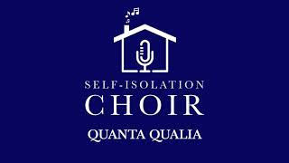 Quanta Qualia  The SelfIsolation Choir as heard on quotDesert Island Discsquot with Dame Louise Casey [upl. by Madda]