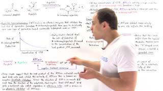 ATCase Allosteric Regulation [upl. by Awhsoj738]