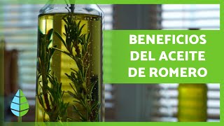 ACEITE de ROMERO 🪔🍃 ¡Propiedades BENEFICIOS y Cómo Hacerlo [upl. by Blanch]