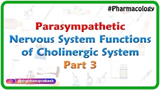 5Parasympathetic Nervous system  Functions of cholinergic system Part 3  ANS Pharmacology [upl. by Yerag106]