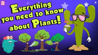 Everything You Need To Know About Plants  Source Of Oxygen  The Dr Binocs Show  Peekaboo Kidz [upl. by Esiuqram556]