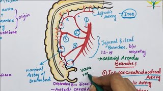 Lymph node Granulomatous lymphadenitis microscopy [upl. by Ueihtam332]