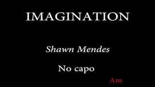 IMAGINATION  SHAWN MENDES [upl. by Orabel]