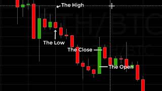 Reading A Crypto Candlestick Chart Basics [upl. by Ramsden]